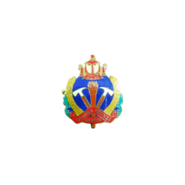 BOMBA BRUNEI CAP BADGE METAL